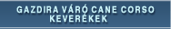 Gazdira v�r� cane corso kever�kek
